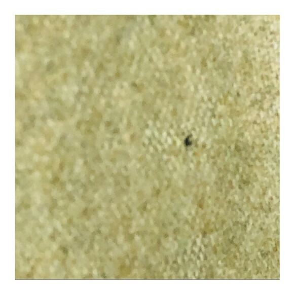 RRL Ralph Lauren Vintage Wool Green Embroidered Knee-Length Skirt 10 - Picture 5 of 16